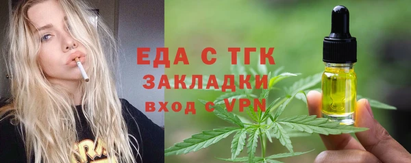 хмурый Арсеньев