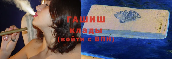хмурый Арсеньев