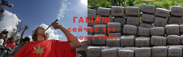 хмурый Арсеньев