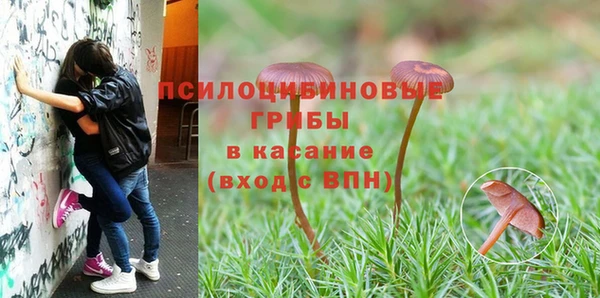 mix Аркадак