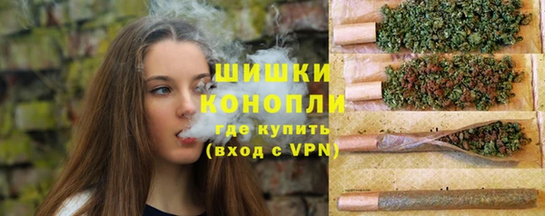 хмурый Арсеньев