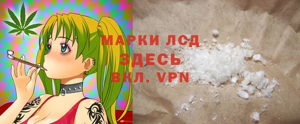 хмурый Арсеньев