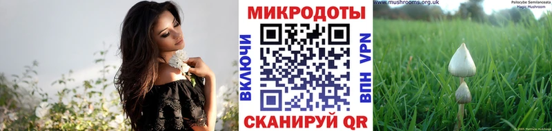 Псилоцибиновые грибы мицелий  где купить наркотик  Таруса 